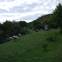 Photo de Grece - Les Météores
